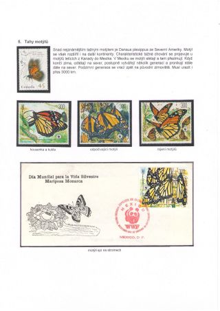 BUTTERFLIES KNOWN AND UNKNOWN – sheet 10
