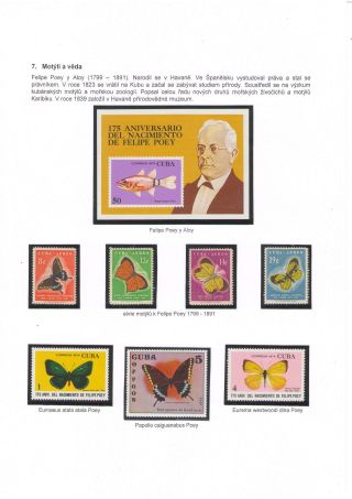 BUTTERFLIES KNOWN AND UNKNOWN – sheet 16