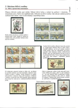 GRÜNE APOTHEKE - TAUSENDE VON JAHREN DER NATURMEDIZIN – Blatt 15