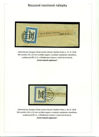 POSTAGE PAID IN CASH DURING POST-WAR CHANGES 1918-1919 – sheet 15