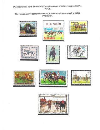 HORSE IN SPORT – sheet 12
