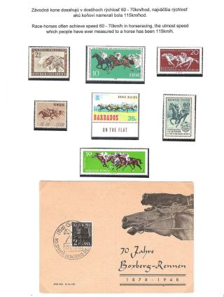 HORSE IN SPORT – sheet 16