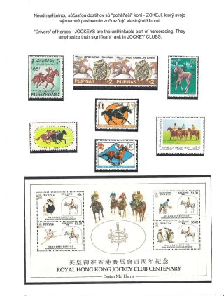 HORSE IN SPORT – sheet 17