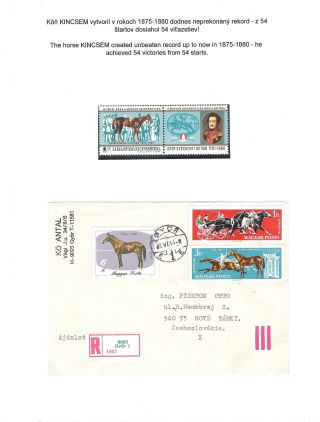 HORSE IN SPORT – sheet 21