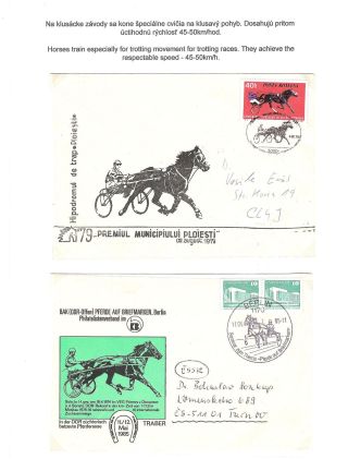 HORSE IN SPORT – sheet 31