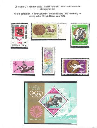 HORSE IN SPORT – sheet 54