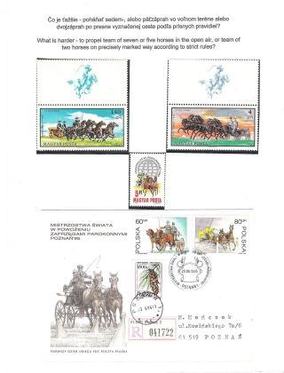 HORSE IN SPORT – sheet 55