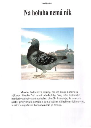 PIGEON SURPASS ALL – sheet 1