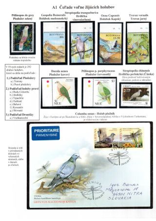 PIGEON SURPASS ALL – sheet 3