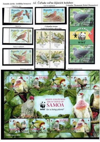 PIGEON SURPASS ALL – sheet 4
