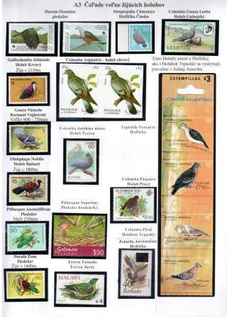 PIGEON SURPASS ALL – sheet 5