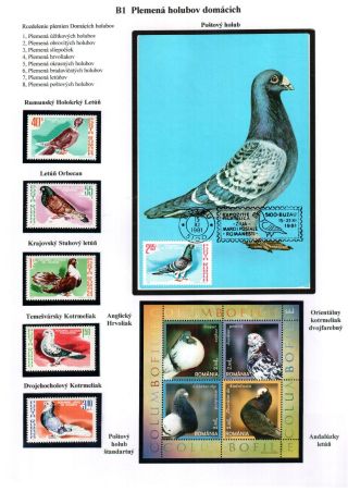 PIGEON SURPASS ALL – sheet 10