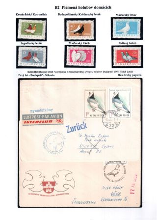 PIGEON SURPASS ALL – sheet 11