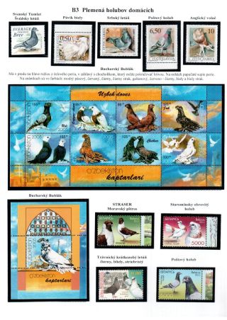 PIGEON SURPASS ALL – sheet 12