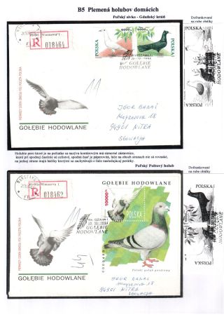 PIGEON SURPASS ALL – sheet 14