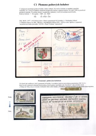 PIGEON SURPASS ALL – sheet 15