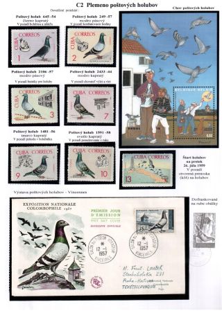 PIGEON SURPASS ALL – sheet 16