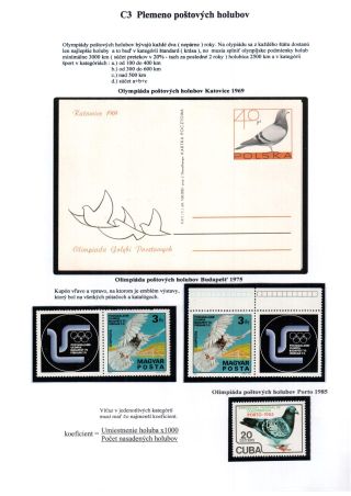 PIGEON SURPASS ALL – sheet 17
