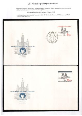 PIGEON SURPASS ALL – sheet 19