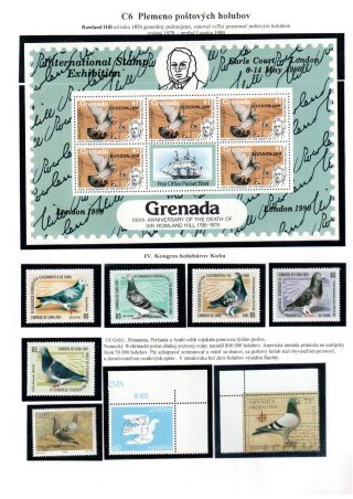 PIGEON SURPASS ALL – sheet 20