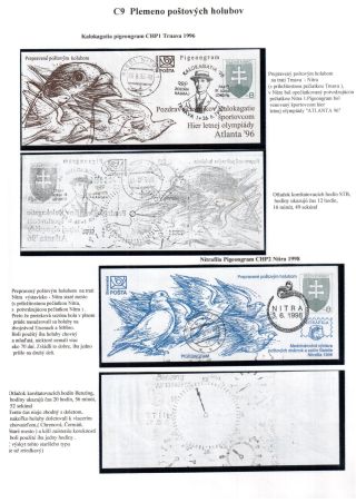 PIGEON SURPASS ALL – sheet 23