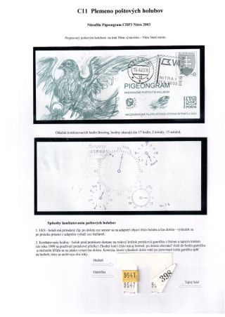 PIGEON SURPASS ALL – sheet 25