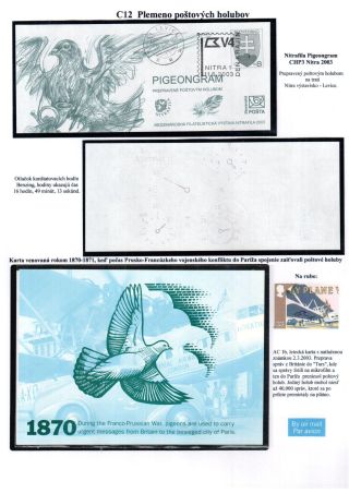PIGEON SURPASS ALL – sheet 26
