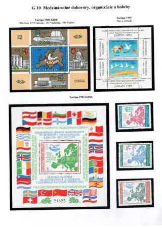 PIGEON SURPASS ALL – sheet 61
