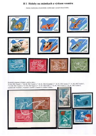 PIGEON SURPASS ALL – sheet 71