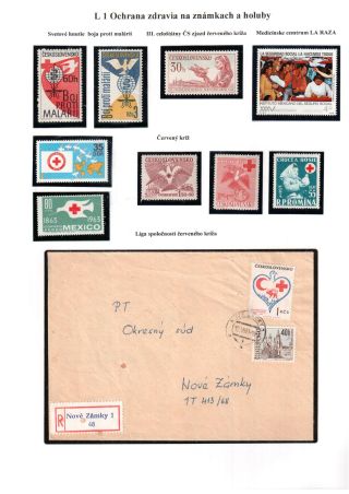 PIGEON SURPASS ALL – sheet 77