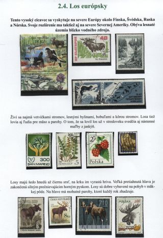 Lesní savci – list 12