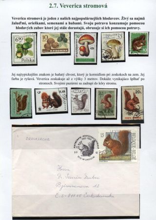 Lesní savci – list 16