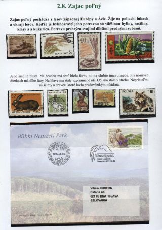 Lesní savci – list 17