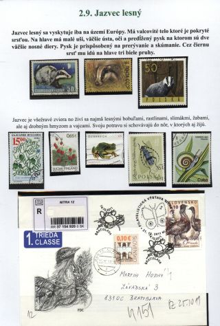 Lesní savci – list 18