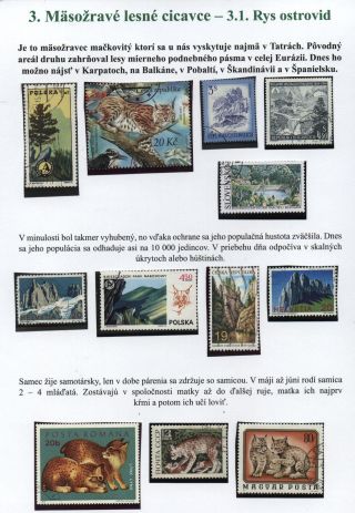 Lesní savci – list 19