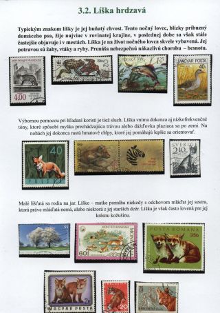 Lesní savci – list 21