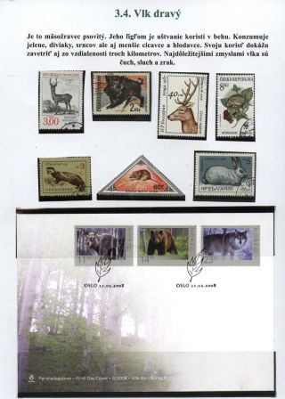 Lesní savci – list 23