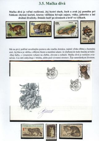Lesní savci – list 25