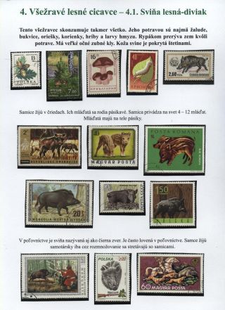 Lesní savci – list 26