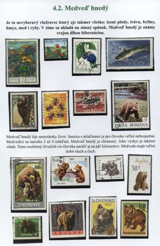 Lesní savci – list 27