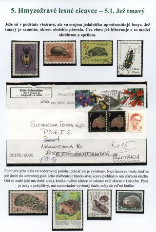 Lesní savci – list 30