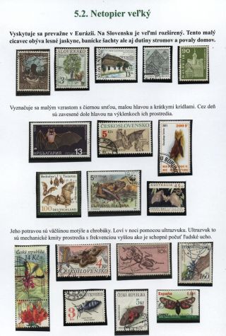 Lesní savci – list 31