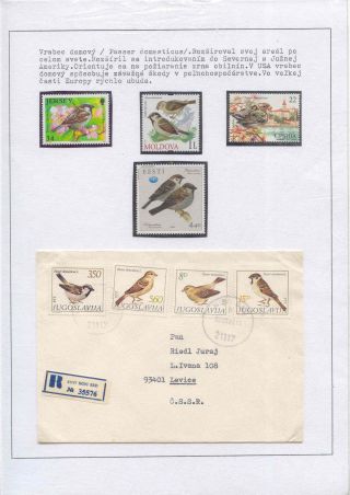 POZNEJ A CHRAŇ - TŘÍDA PTÁKŮ – list 13