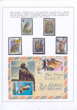 POZNEJ A CHRAŇ - TŘÍDA PTÁKŮ – list 45
