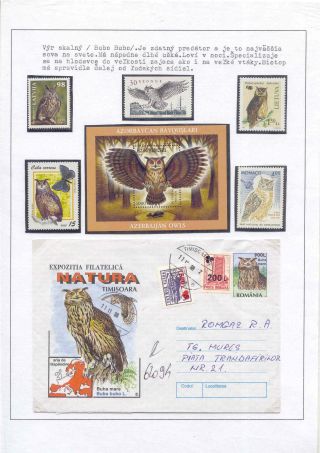 POZNEJ A CHRAŇ - TŘÍDA PTÁKŮ – list 49
