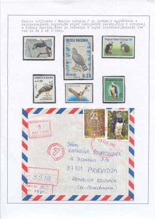 POZNEJ A CHRAŇ - TŘÍDA PTÁKŮ – list 64