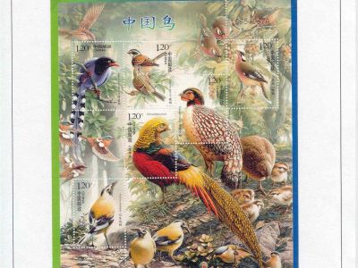 LEARN OF AND PROTECT - CLASS BIRDS