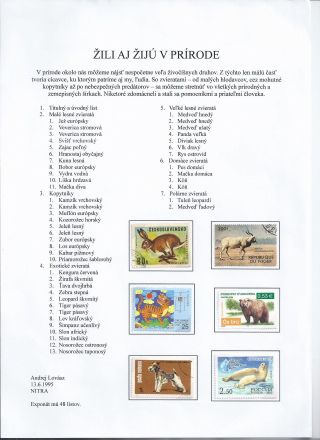 Žili a žijí v přírodě – list 1