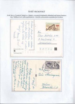 Žili a žijí v přírodě – list 5
