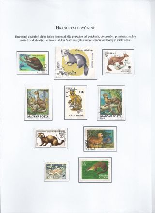 Žili a žijí v přírodě – list 7